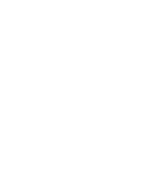 Zoi Ice Tea